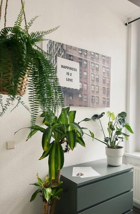Pretty Home City Jungle Zwickau Extérieur photo